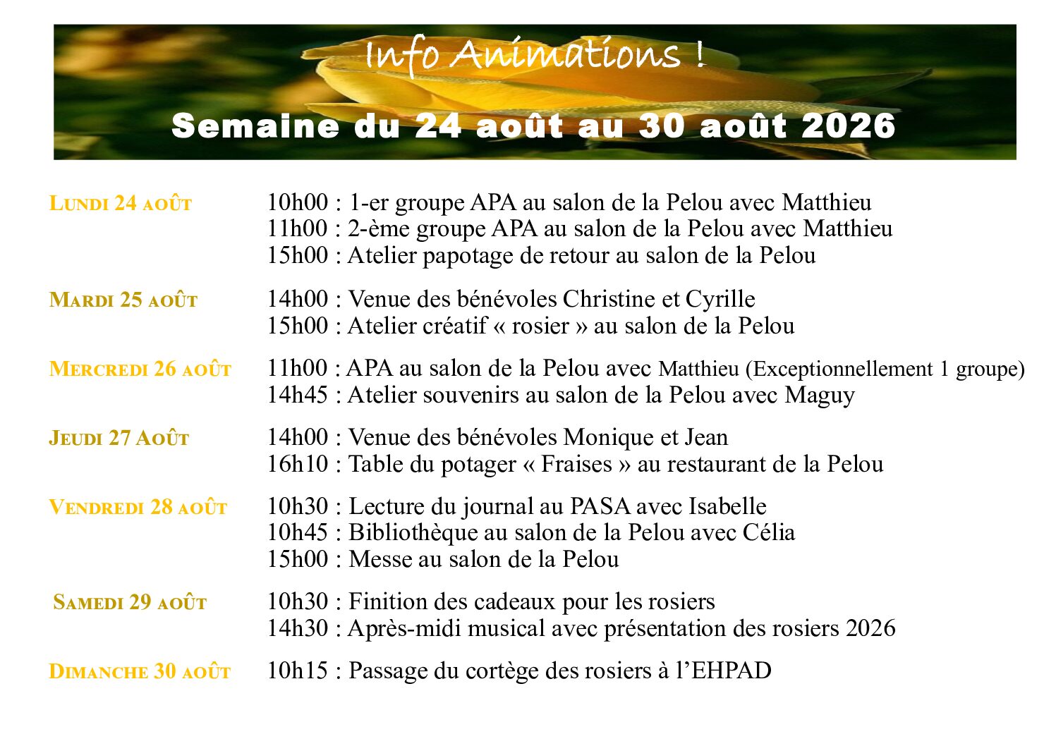 Animations EHPAD