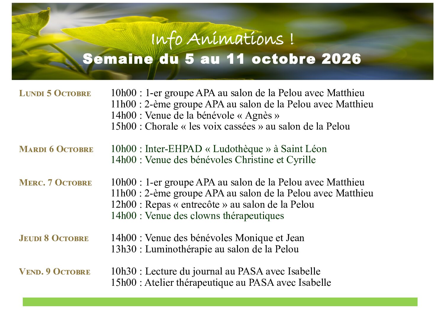 Animations EHPAD